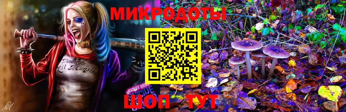 Галлюциногенные грибы GOLDEN TEACHER Нижневартовск